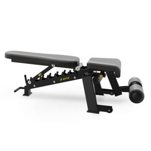 Скамья универсальная Insight Fitness DZ61