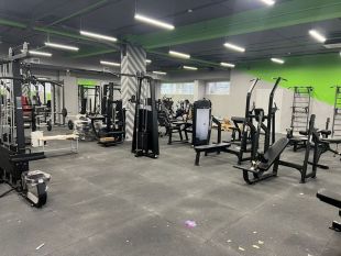 Скамья для жима олимпийская Gymmaster DH23