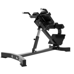 Гиперэкстензия наклонная Insight Fitness TM89