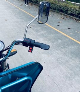 Трицикл грузовой GreenCamel Тендер 1 (1000W 30км/ч) понижающая