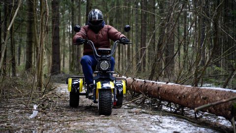 Электротрицикл SIBERTON PRO TRIKE 3000W