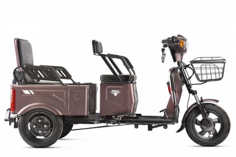 Трицикл Rutrike Вагон