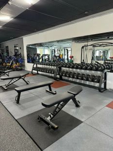 Скамья горизонтальная Insight Fitness TN34