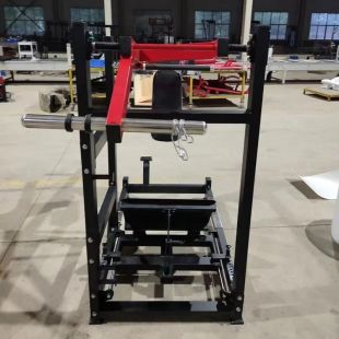 Гакк-присед маятниковый Insight Fitness DZ80C